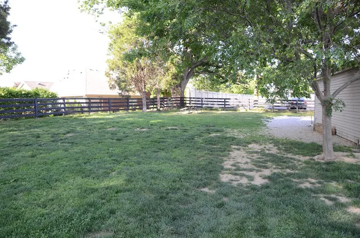 Springhurst Animal Hospital Picture 7
