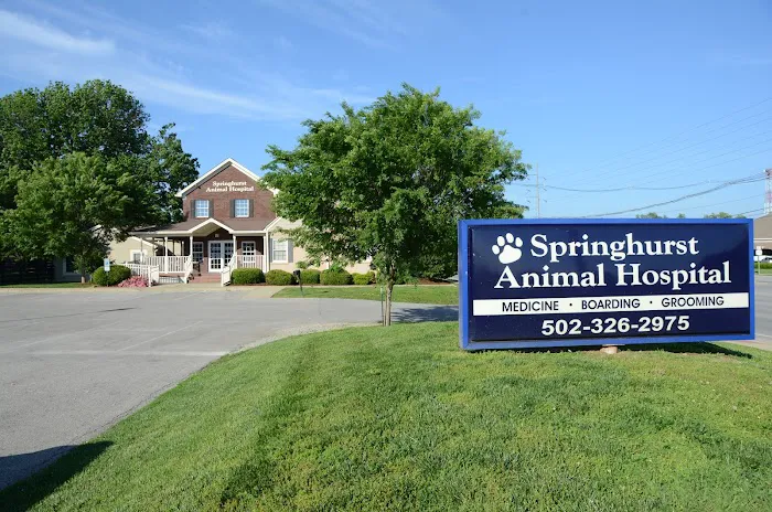 Springhurst Animal Hospital Picture 8