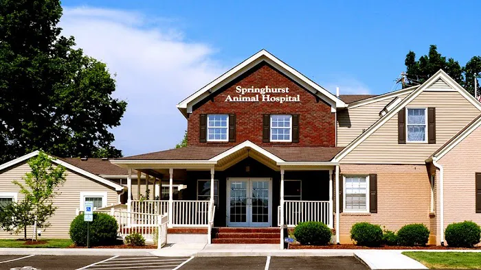 Springhurst Animal Hospital Picture 10