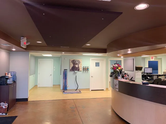 Springhurst Animal Hospital Picture 4