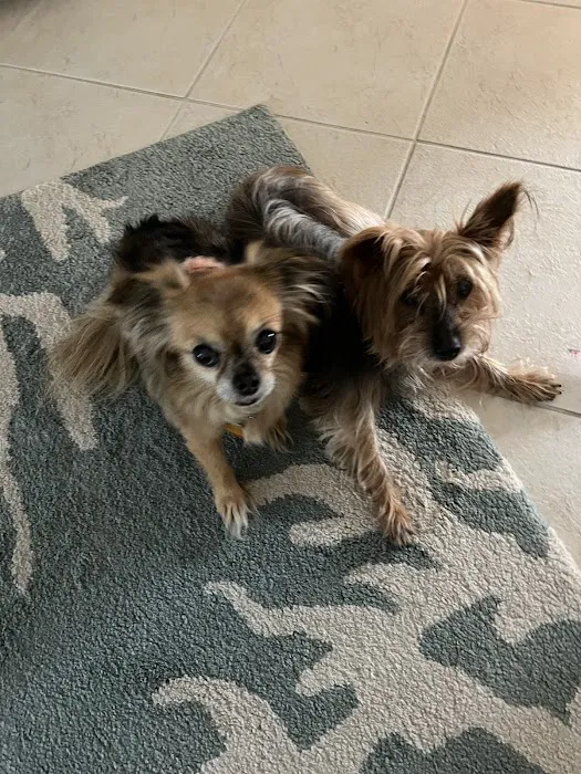 Dr John's Pet Care Clinic Picture 8