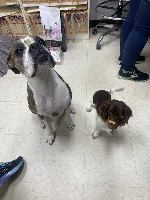 Dr John's Pet Care Clinic Picture 7