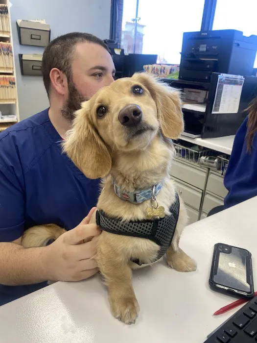 Dr John's Pet Care Clinic Picture 9