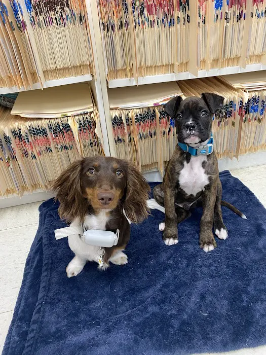 Dr John's Pet Care Clinic Picture 1