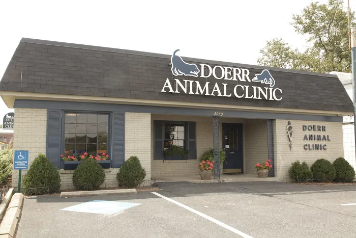 Doerr Animal Clinic Picture 5