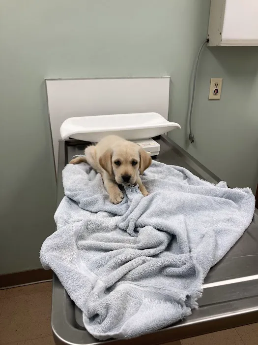 Plantation Animal Clinic Picture 10