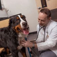 Banfield Pet Hospital ico