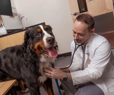 Banfield Pet Hospital