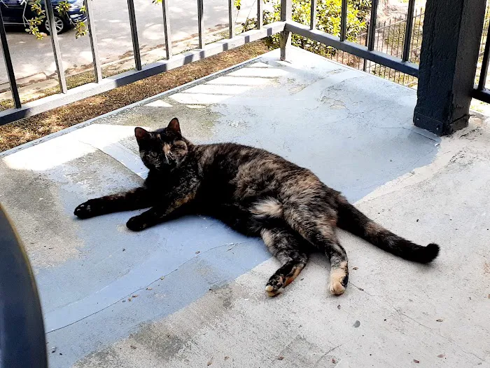 Brownsboro Animal Clinic Picture 5