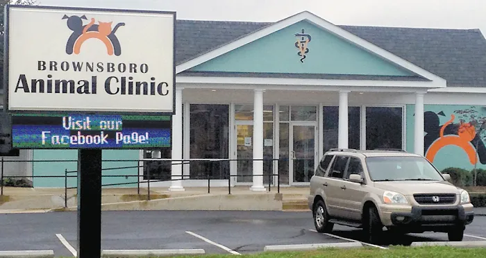 Brownsboro Animal Clinic Picture 7