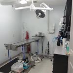 Access Veterinary Care