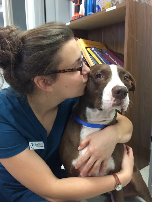 Access Veterinary Care Picture 7
