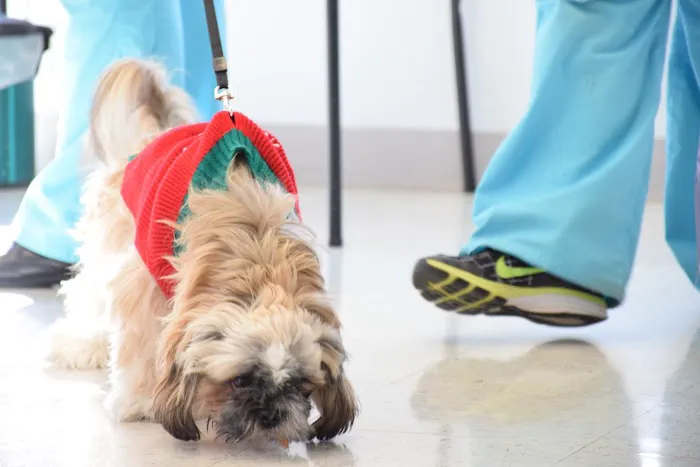 Access Veterinary Care Picture 9