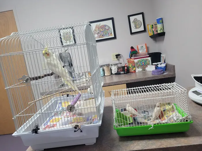 All Pets Veterinary Center Picture 10