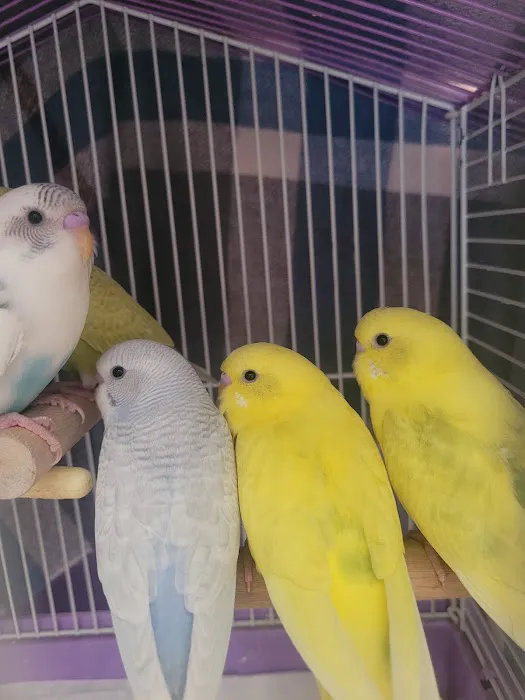 All Pets Veterinary Center Picture 6