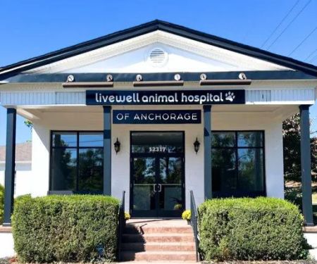 Livewell Animal Hospital of Anchorage