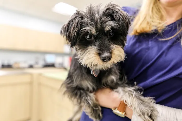 Livewell Animal Hospital of Anchorage Picture 8