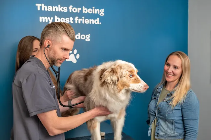 Livewell Animal Hospital of Anchorage Picture 7