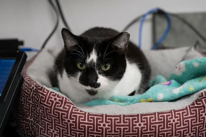 Livewell Animal Hospital of Anchorage Picture 6