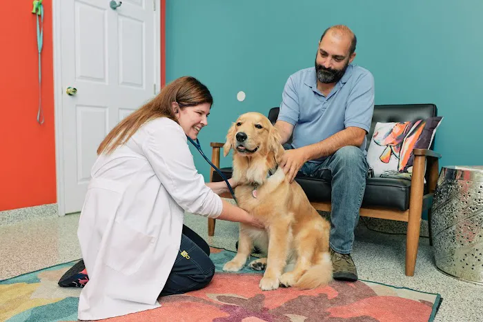 PetVet365 Pet Hospital Louisville/Anchorage Picture 2