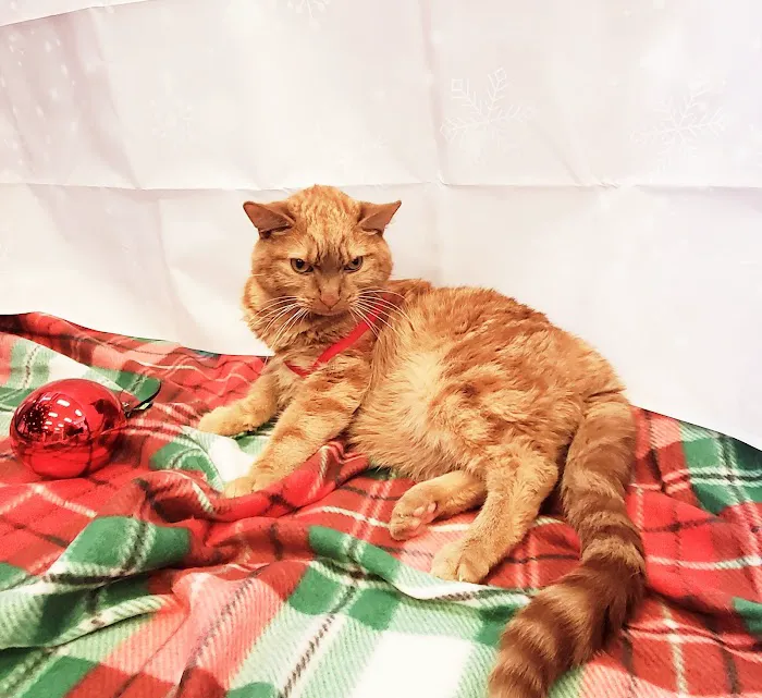 PetVet365 Pet Hospital Louisville/Anchorage Picture 8