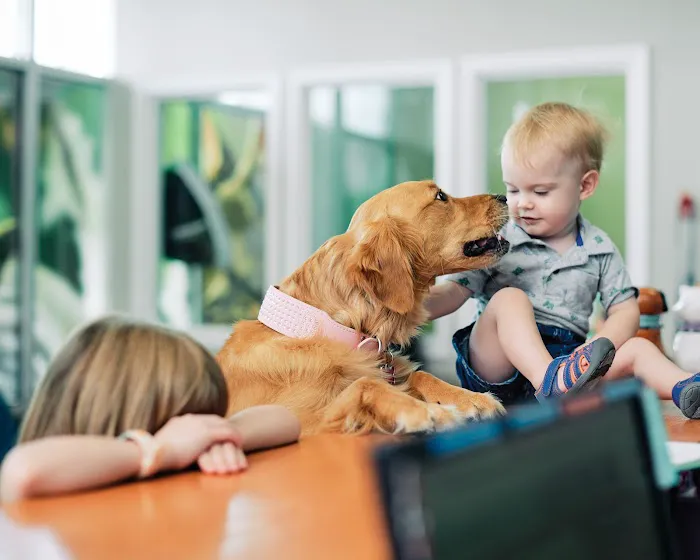 PetVet365 Pet Hospital Louisville/Anchorage Picture 4