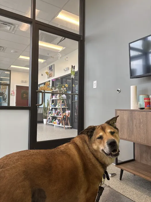 PetVet365 Pet Hospital Louisville/Anchorage Picture 10