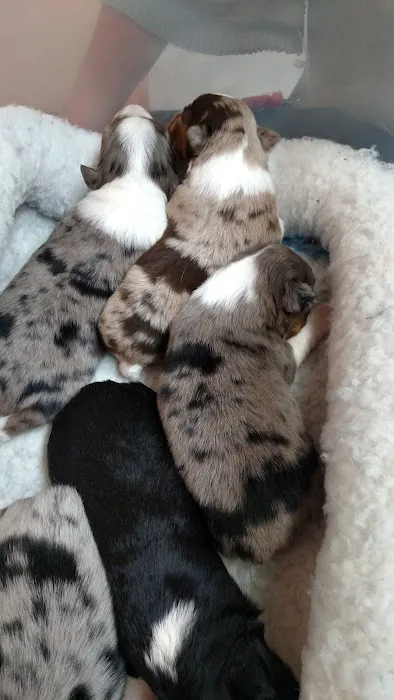 Lyndon Animal Clinic Picture 7