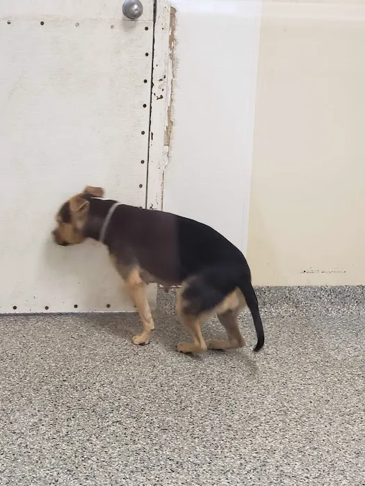 Lyndon Animal Clinic Picture 6