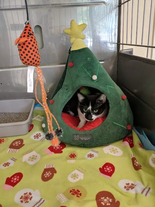 Lyndon Animal Clinic Picture 9