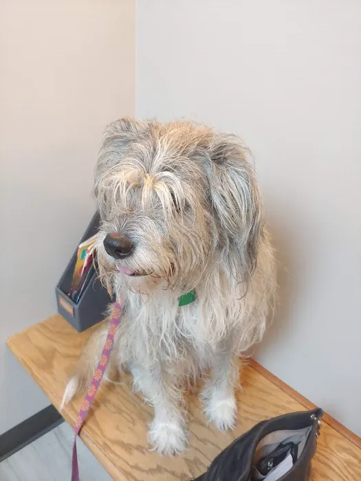 East Louisville Animal Hospital Picture 7