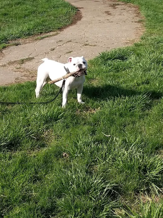 East Louisville Animal Hospital Picture 8