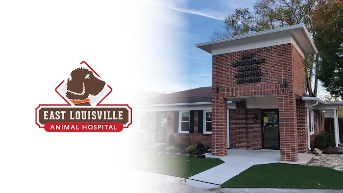 East Louisville Animal Hospital Picture 10