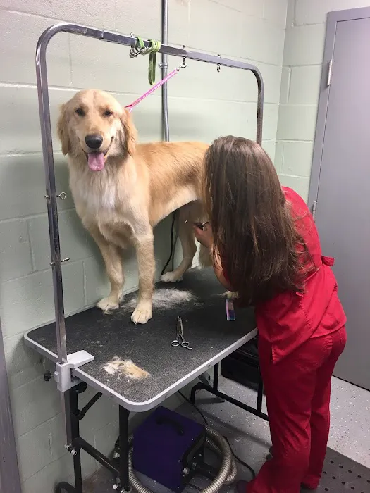 St. Matthews Animal Clinic Picture 7
