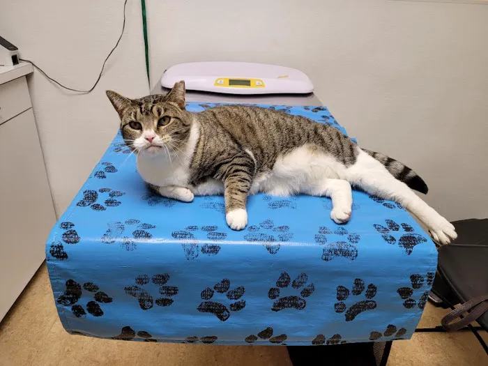 St. Matthews Animal Clinic Picture 6