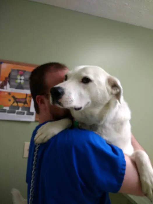 Chenoweth Lane Pet Clinic Picture 1