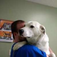 Chenoweth Lane Pet Clinic ico