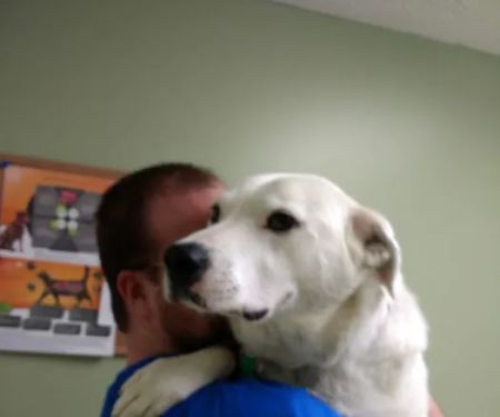 Chenoweth Lane Pet Clinic