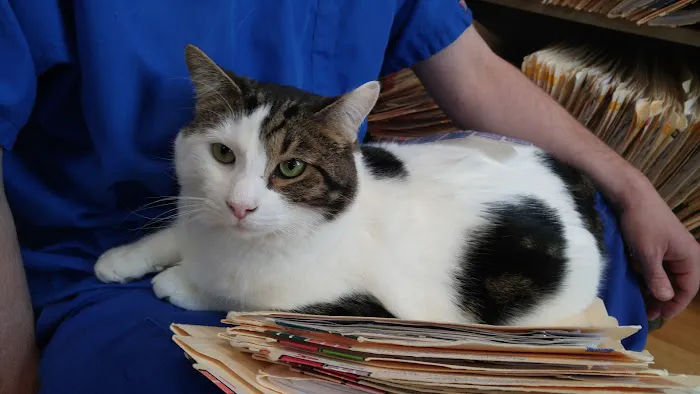 Chenoweth Lane Pet Clinic Picture 7