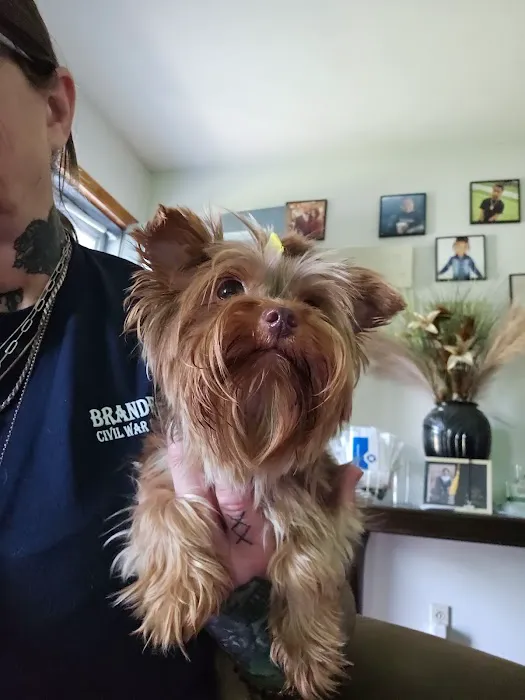 Fenwick Animal Clinic Picture 9