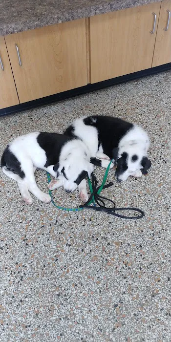 Fenwick Animal Clinic Picture 5