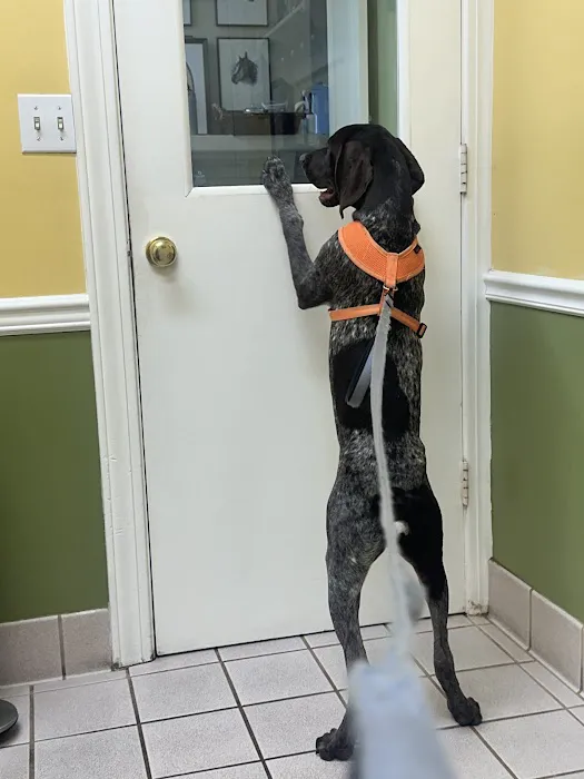 Chenoweth Animal Hospital Picture 1