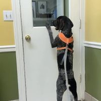 Chenoweth Animal Hospital ico
