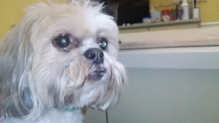 Chenoweth Animal Hospital Picture 6