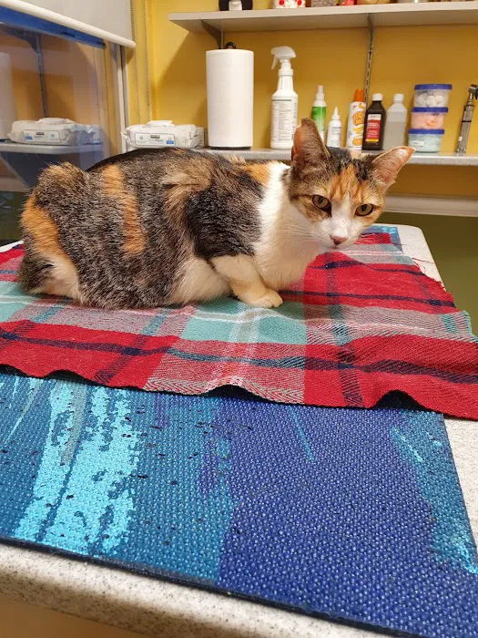 Chenoweth Animal Hospital Picture 7