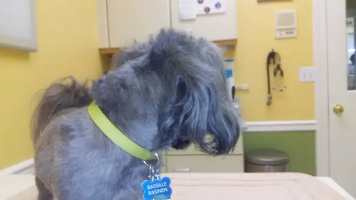 Chenoweth Animal Hospital Picture 4