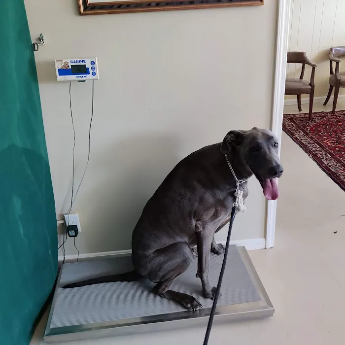 Chenoweth Animal Hospital Picture 3