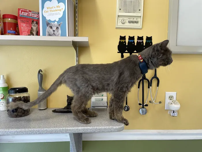 Chenoweth Animal Hospital Picture 2