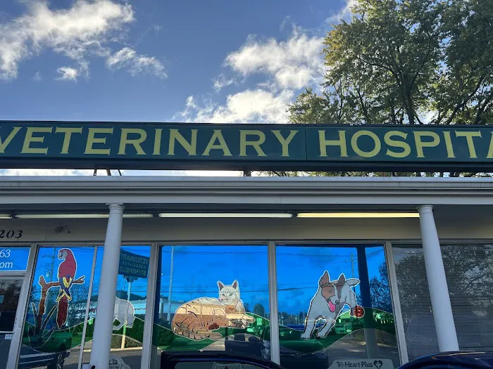 Veterinary Associates Stonefield Picture 10