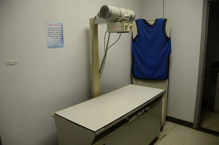 Veterinary Associates Stonefield Picture 8